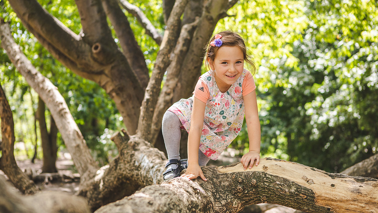 Ein Kind klettert auf einem Baum im Naturerfahrungsraum im Park am Gleisdreieck herum