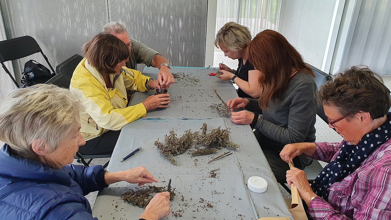 Eine Gruppe sortiert an einem Tisch Samen