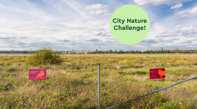 Schilder klären über die Schutzzonen und Beweidungsflächen auf - auf einem grünen Kreis auf dem Foto steht "City Nature Challenge!"
