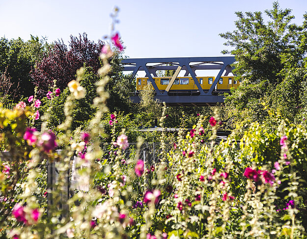 Sträucher der Gärten im Garten im Park am Gleisdreieck vor der U1-Brücke